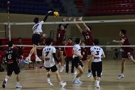 女子篮球联赛赛季最佳球员候选